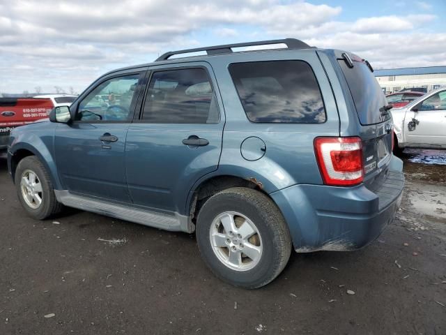 2012 Ford Escape XLT