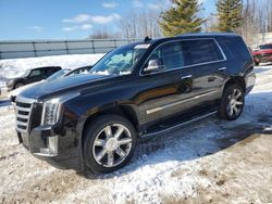 Salvage cars for sale at Davison, MI auction: 2016 Cadillac Escalade Luxury