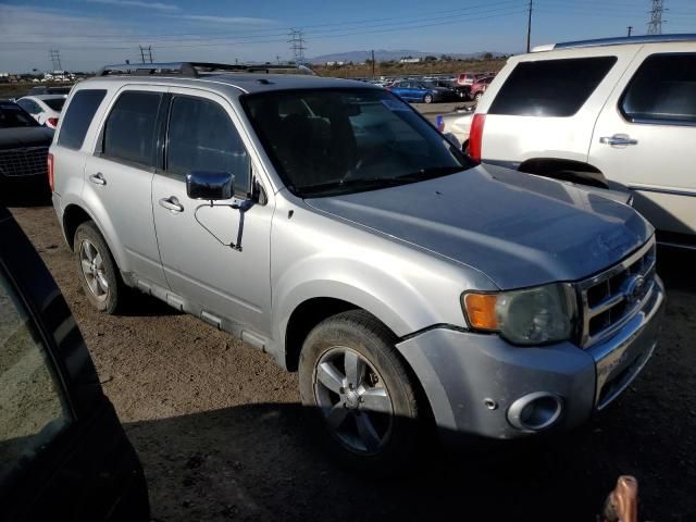 2010 Ford Escape Limited