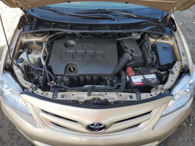 2011 Toyota Corolla Base