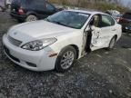 2004 Lexus ES 330