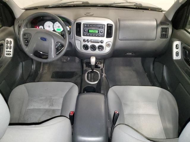 2005 Ford Escape XLT