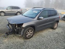 Salvage cars for sale at Concord, NC auction: 2016 Volkswagen Tiguan S