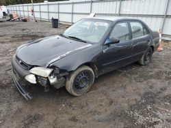 Salvage cars for sale at Finksburg, MD auction: 1999 Toyota Corolla VE