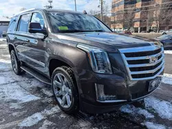 Salvage cars for sale at North Billerica, MA auction: 2017 Cadillac Escalade Luxury