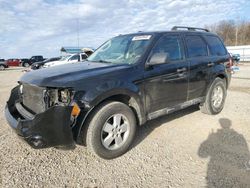 Salvage cars for sale at Memphis, TN auction: 2009 Ford Escape XLT