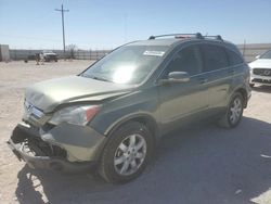 Salvage cars for sale at Andrews, TX auction: 2009 Honda CR-V EXL