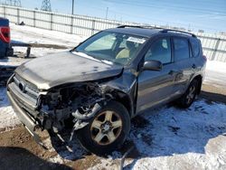 Salvage cars for sale at Elgin, IL auction: 2010 Toyota Rav4