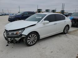 2014 Honda Accord EXL en venta en Haslet, TX