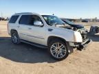 2010 Cadillac Escalade Luxury