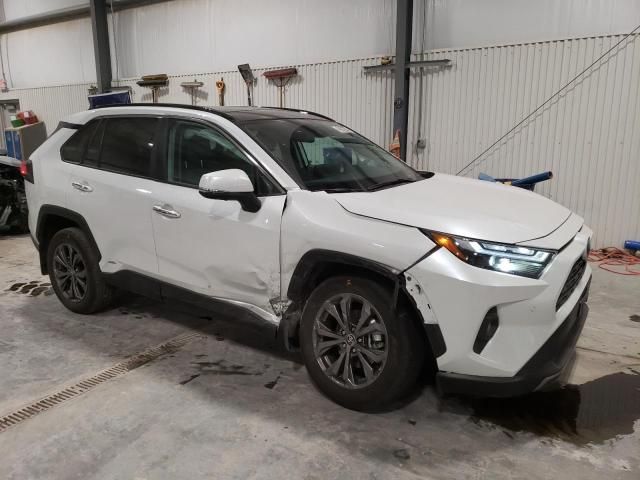 2024 Toyota Rav4 Limited