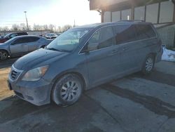 Salvage cars for sale at Fort Wayne, IN auction: 2010 Honda Odyssey EXL