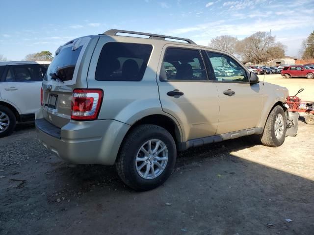 2010 Ford Escape XLT