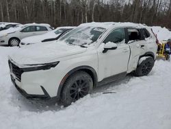 Salvage cars for sale at Cookstown, ON auction: 2024 Honda CR-V Sport