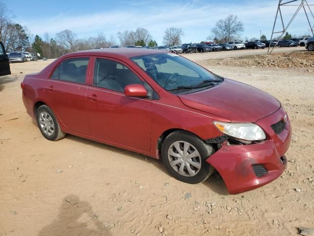 2010 Toyota Corolla Base