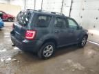 2008 Ford Escape Limited