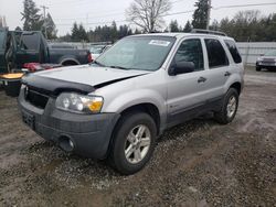 Salvage cars for sale at Graham, WA auction: 2007 Ford Escape HEV