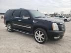 2008 Cadillac Escalade Luxury