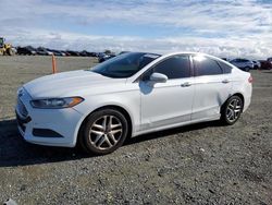 Salvage cars for sale at Antelope, CA auction: 2013 Ford Fusion SE