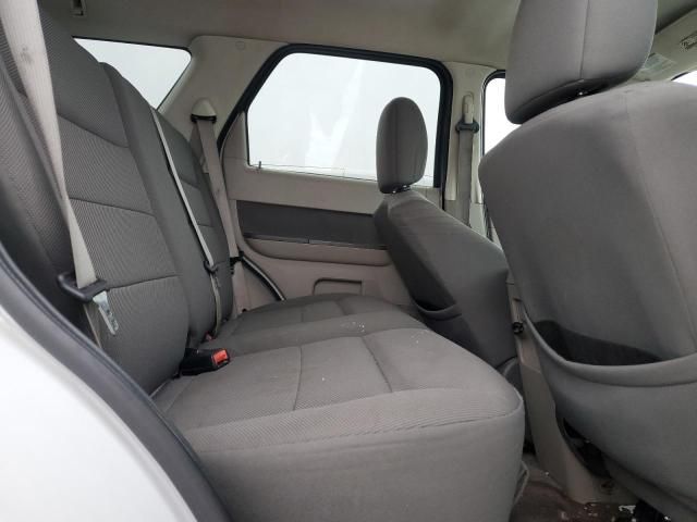 2009 Ford Escape XLT