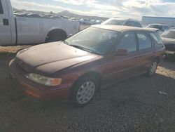 Salvage cars for sale at Phoenix, AZ auction: 1995 Honda Accord LX