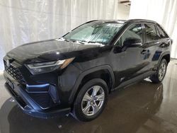 Clean Title Cars for sale at auction: 2023 Toyota Rav4 XLE