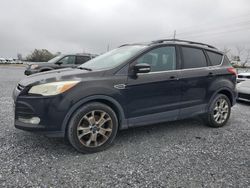 Salvage cars for sale at Riverview, FL auction: 2013 Ford Escape SEL