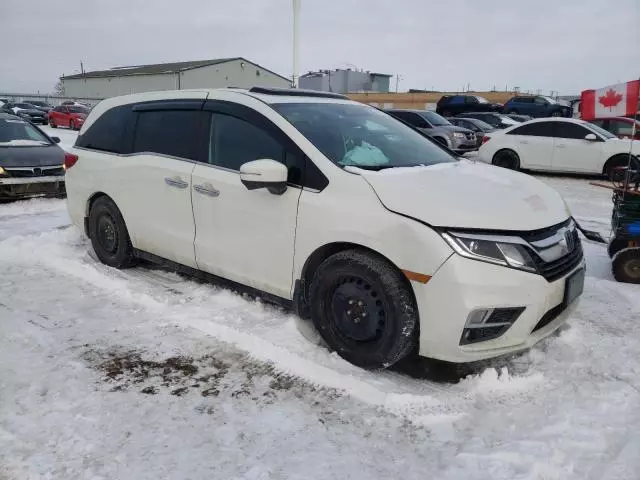 2019 Honda Odyssey EXL