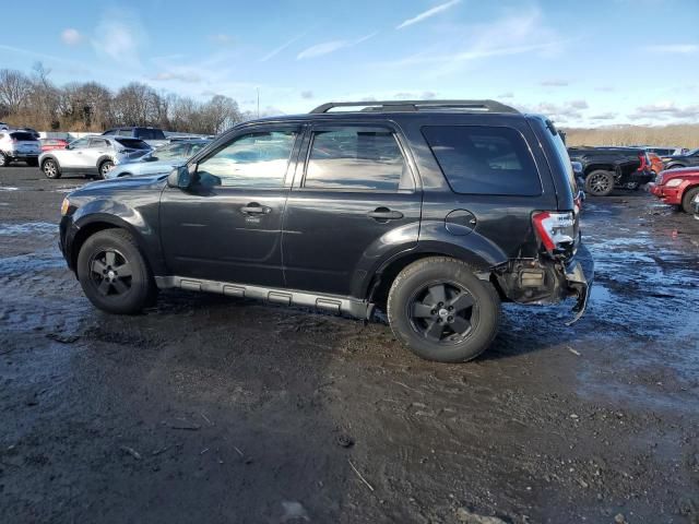 2011 Ford Escape XLT