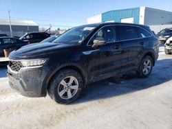 Salvage cars for sale at Elmsdale, NS auction: 2021 KIA Sorento LX