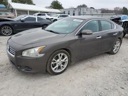 Salvage cars for sale at Prairie Grove, AR auction: 2012 Nissan Maxima S