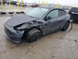 Salvage cars for sale at Indianapolis, IN auction: 2023 Tesla Model Y