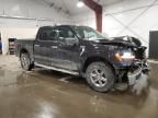 2024 Ford F150 XLT