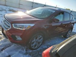 Salvage cars for sale at Cahokia Heights, IL auction: 2019 Ford Escape Titanium