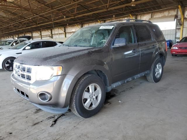 2011 Ford Escape XLS