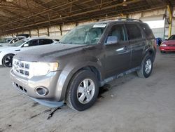 Ford Escape xls Vehiculos salvage en venta: 2011 Ford Escape XLS