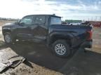 2024 Toyota Tacoma Double Cab