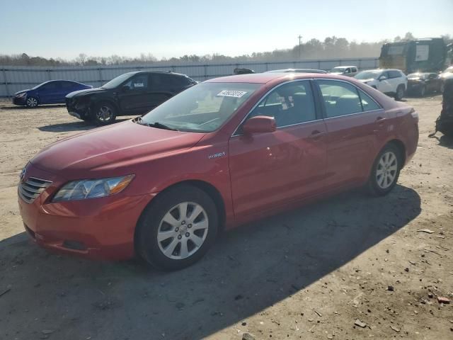 2008 Toyota Camry Hybrid