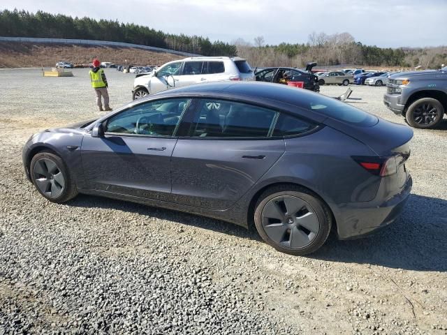 2021 Tesla Model 3