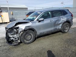 Salvage cars for sale at Elmsdale, NS auction: 2024 Honda CR-V LX