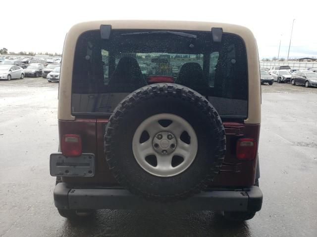 2002 Jeep Wrangler / TJ X