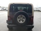 2002 Jeep Wrangler / TJ X