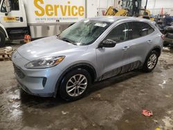 Ford Escape se salvage cars for sale: 2022 Ford Escape SE