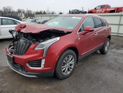 Salvage cars for sale at Pennsburg, PA auction: 2021 Cadillac XT5 Premium Luxury