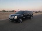 2010 Cadillac Escalade ESV Platinum