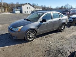 Salvage cars for sale at York Haven, PA auction: 2011 Ford Focus SE