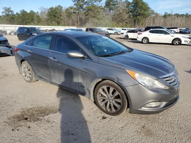 2013 Hyundai Sonata SE