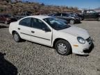 2004 Dodge Neon Base