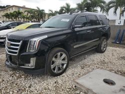 SUV salvage a la venta en subasta: 2018 Cadillac Escalade Premium Luxury