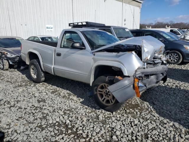 2004 Dodge Dakota SXT